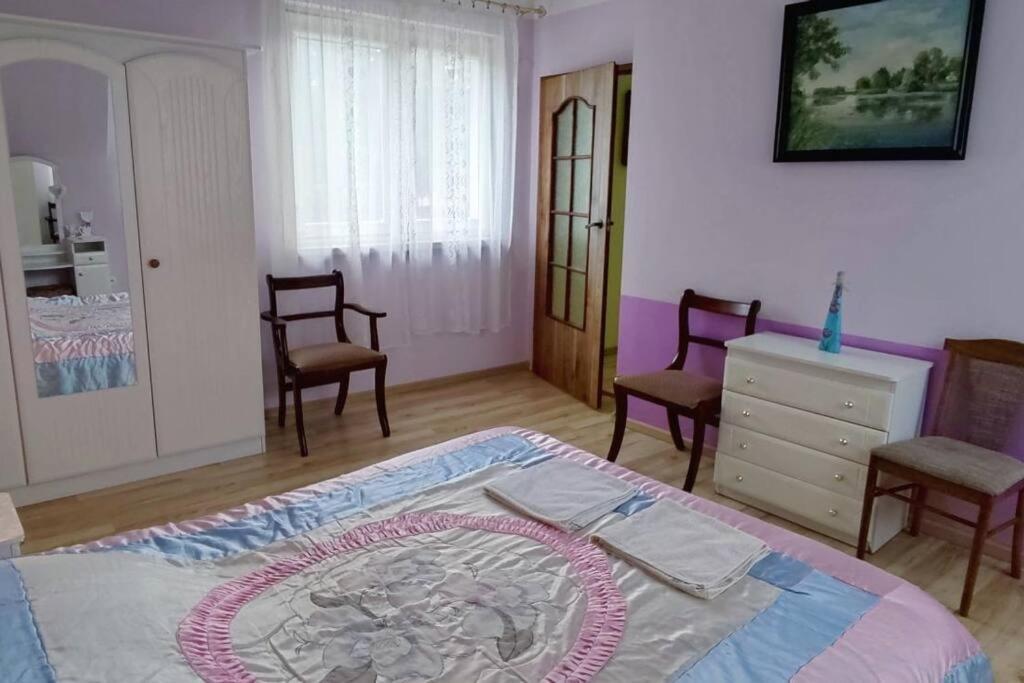Apartament W Podkowie ميجيجنو المظهر الخارجي الصورة